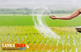 යල කන්නය සඳහා පොහොර සහනාධාර ලබා දීම ඇරඹේ