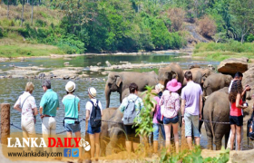 මේ වසරේ ගතවූ කාලය තුළ පැමිණි විදෙස් සංචාරකයින් සංඛ්‍යාව 600,000 ඉක්මවයි