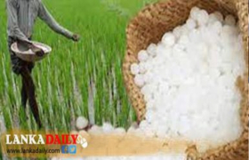 ලෝක වෙළඳපොළේ යූරියා පොහොර මිල ඉහළට