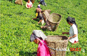 වතුකම්කරුවන්ගේ දෛනික පැමිණීමේ දීමනාව ගැන තීරණයක්