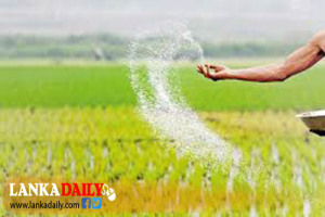 සති තුනක කාලයක් තුළ වී මෙට්‍රික් ටොන් 19,592ක් මිලදී ගෙන
