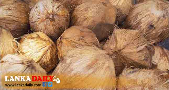 පොල් මිළ නැවත ඉහළට