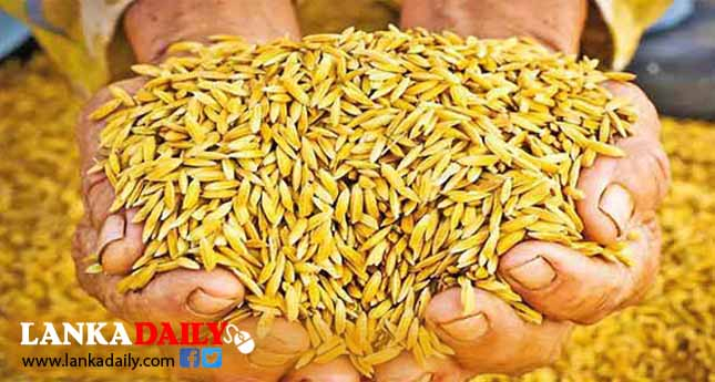 රජයේ සහතික මිලට අනුරාධපුර දිස්ත්‍රික්කයේ වී මිලදී ගැනීම අද සිට