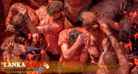 ලෝකයේ ජනප්‍රිය තක්කාලි සටන ක්‍රිඩාව 80 වැනි වරටත්