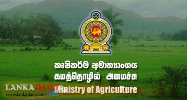 කුඹුරු අක්කර 61,000ක් හානියට ! වගා හානි තක්සේරු කටයුතු වහාම අරඹන ලෙස උපදෙස්