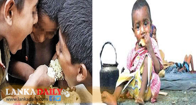 ලෝකයේ මිලියන 49 කට ආසන්න ජනතාවක් දැඩි ආහාර අනාරක්ෂිතභාවයකට