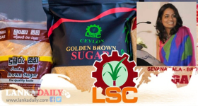 ආණ්ඩුව, ලංකා සීනි සමාගමට පත් කළ දෙවෙනි සභාපතිත් ඉල්ලා අස්වෙයි