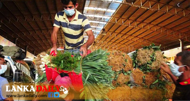 දිනකට එළවළු පලතුරු කිලෝ 50,000ක් අපතේ