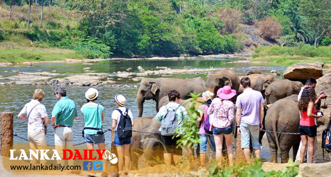 මේ වසරේ ගතවූ කාලය තුළ පැමිණි විදෙස් සංචාරකයින් සංඛ්‍යාව 600,000 ඉක්මවයි