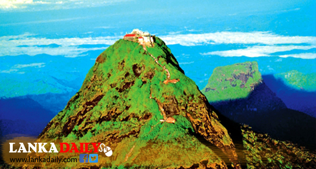 ශ්‍රීපාද රක්ෂිතයේ ගින්නක් ! පරිසර පද්ධතියට සහ ජීවීන්ට දැඩි තර්ජනයක් !