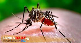 ලෝක මැලේරියා දිනය අදයි