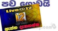 ස්වර්ණවාහිනියේ තවත් කැත වැඩක් මාට්‍ටු
